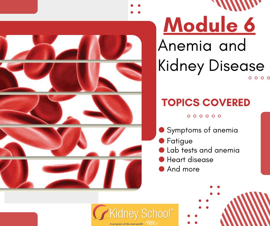 Anemia, a shortage of oxygen-carrying red blood cells, can cause heart damage in people with kidney disease. Learn how to protect yourself and be sure you're getting the testing and treatment you need.

kidneyschool.org/m06/