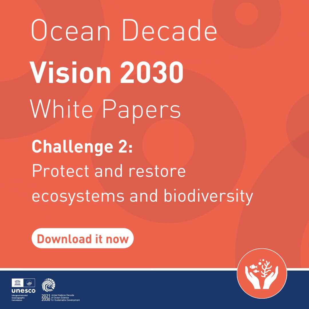NEW: The #OceanDecade #Vision2030 White Paper on Challenge 2 puts forward key recommendations by over 30 scientists to advance the protection and restoration of marine ecosystems in a cohesive, coordinated, and sustainable manner on the global scale.

👉 ow.ly/QfsJ50SmyJj