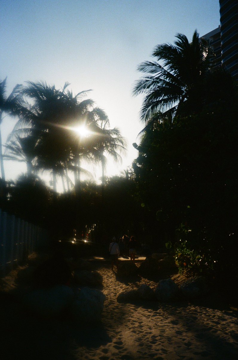 shelby (@gtc0bra) on Twitter photo 