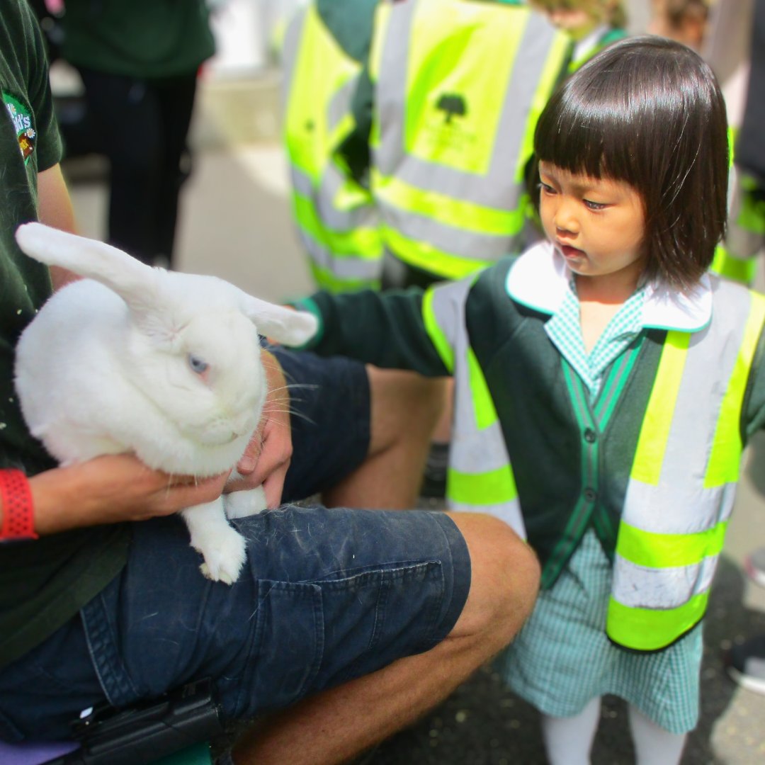 OaklandsSch's tweet photo. Our LK enjoyed family fun day at Old McDonald’s Farm! They were all very excited to stroke Snowy the rabbit, some tiny hedgehogs, and a pony called Josh. 

They enjoyed playing in the soft play and play areas and going on lots of fun rides! 

#OaklandsSchool #OakTreeSchools https://t.co/YlFH0ZuOlI