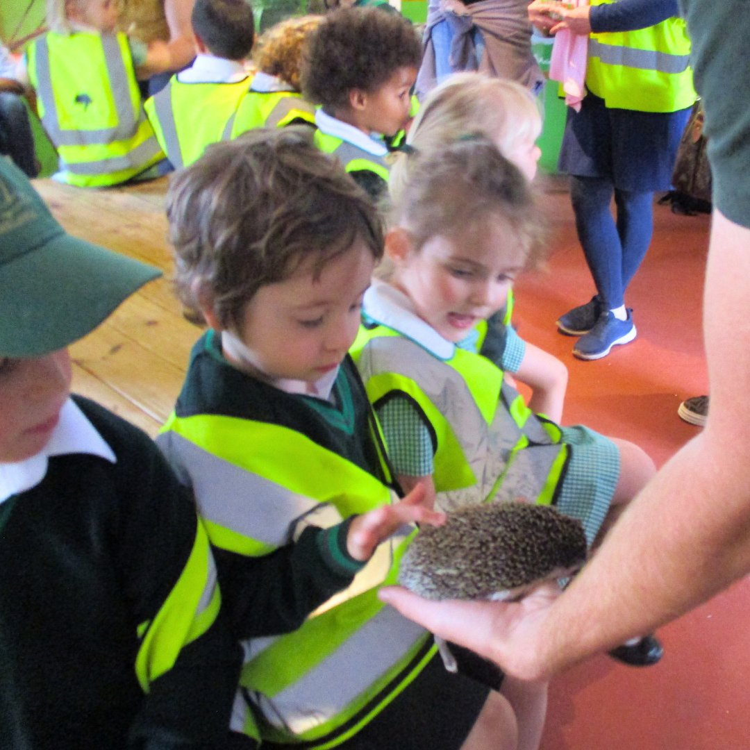 OaklandsSch's tweet photo. Our LK enjoyed family fun day at Old McDonald’s Farm! They were all very excited to stroke Snowy the rabbit, some tiny hedgehogs, and a pony called Josh. 

They enjoyed playing in the soft play and play areas and going on lots of fun rides! 

#OaklandsSchool #OakTreeSchools https://t.co/YlFH0ZuOlI