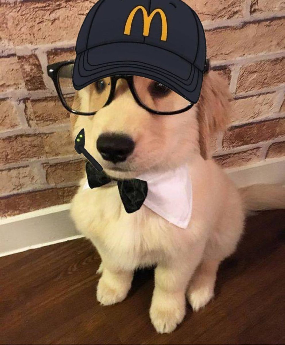 Boltonsolana's tweet photo. Stop jeeting for happy meals this is $BOLT ! https://t.co/8xnNXzEUmz