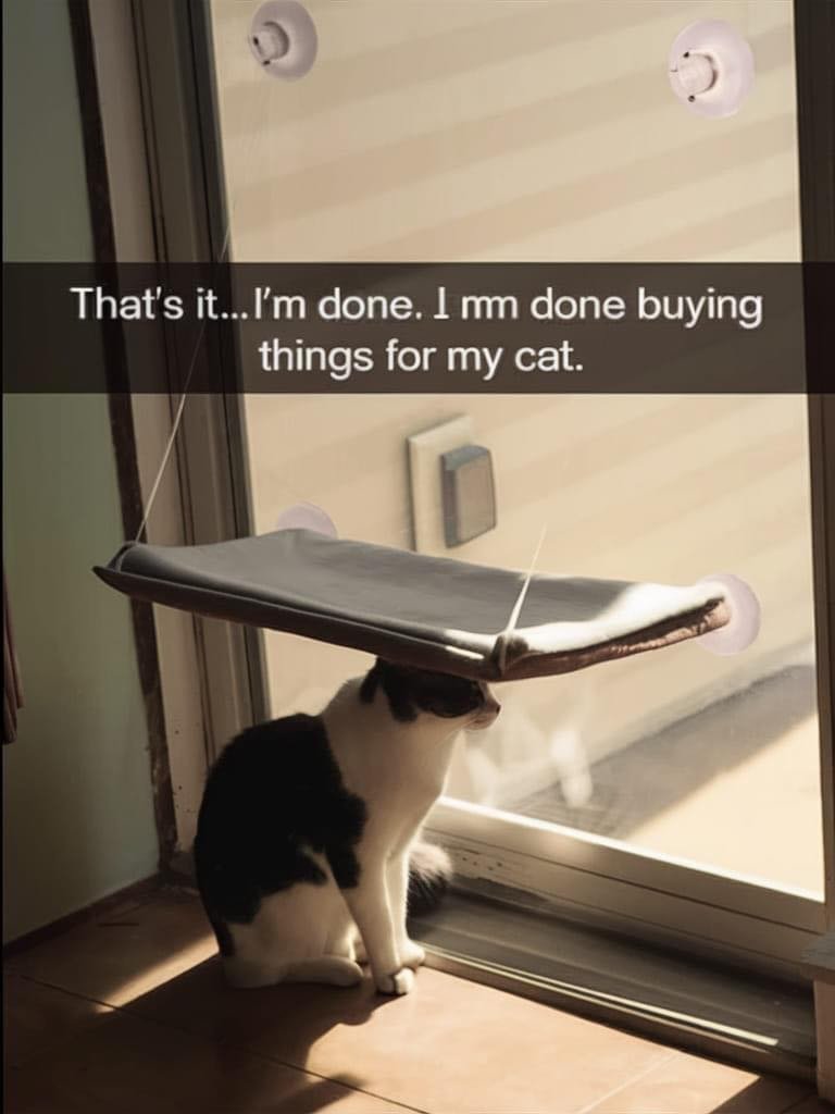 ItsKeygo's tweet photo. @aprikitkat There! Different meme ;) https://t.co/osBZ0W4czo