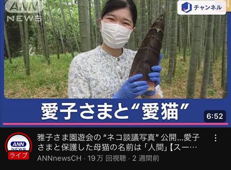 Stop_Internet_'s tweet image. 筍にしか見えないけど皇室が猫って言うなら猫なんだろうな