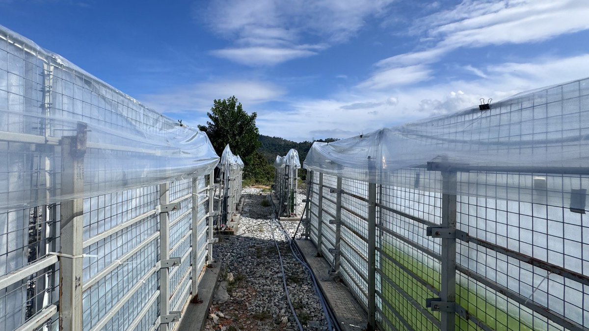 UKI2S (@uki2s) on Twitter photo Thrilled to announce our investment alongside @cleangrowthfund, advancing <a href="/Hutanbio_HBx/">HutanBio</a>'s seed round to £3m 🙌
HutanBio's HBx Biofuel is a 'Drop In' solution tackling decarbonising long-distance transport challenges.
🌍 ukinnovationscienceseedfund.pulse.ly/upluutxc99
#VentureCapital <a href="/Future_Planet/">Future Planet Capital</a> Thrilled to announce our investment alongside @cleangrowthfund, advancing <a href="/Hutanbio_HBx/">HutanBio</a>'s seed round to £3m 🙌
HutanBio's HBx Biofuel is a 'Drop In' solution tackling decarbonising long-distance transport challenges.
🌍 ukinnovationscienceseedfund.pulse.ly/upluutxc99
#VentureCapital <a href="/Future_Planet/">Future Planet Capital</a>