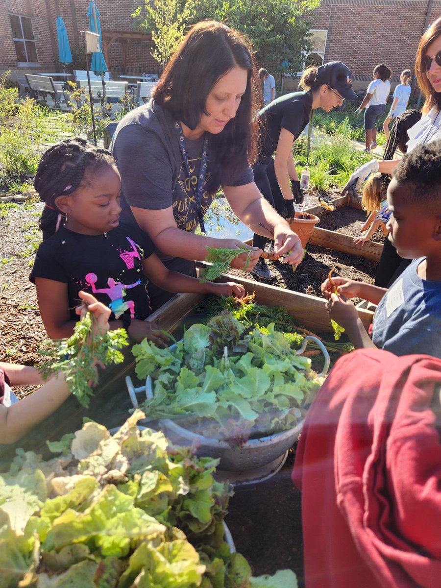 Greenville County Schools tweet media