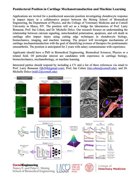 Delco Lab (@delcolab) on Twitter photo <a href="/DelcoLab/">Delco Lab</a> is excited to announce an interdisciplinary #postdoc position with <a href="/BonassarLab/">Bonassar Lab</a> and <a href="/LASSP_Cornell/">Lab of Atomic & Solid State Physics @ Cornell</a>! Reach out via DM or email for more info. #orthoresearch <a href="/DelcoLab/">Delco Lab</a> is excited to announce an interdisciplinary #postdoc position with <a href="/BonassarLab/">Bonassar Lab</a> and <a href="/LASSP_Cornell/">Lab of Atomic & Solid State Physics @ Cornell</a>! Reach out via DM or email for more info. #orthoresearch