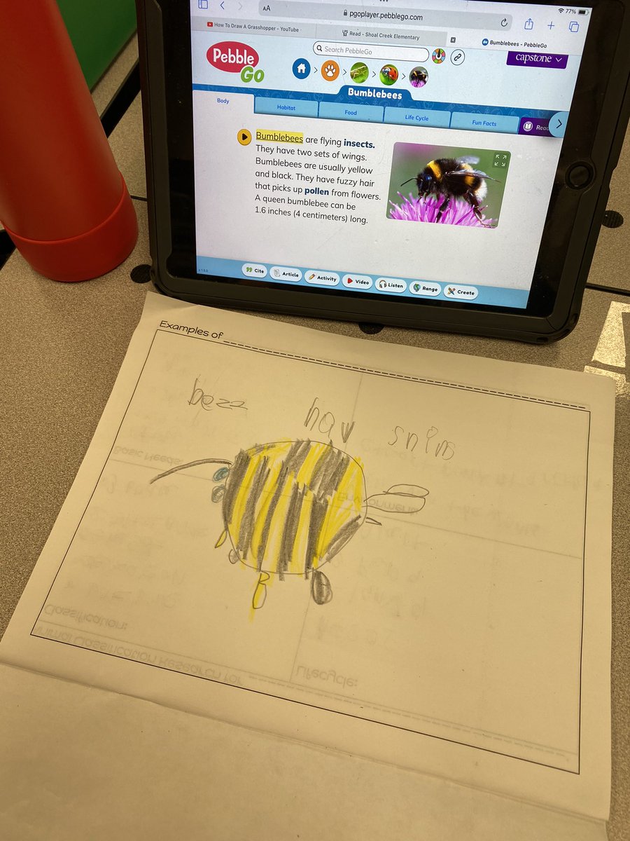 AFleckal's tweet image. We researched insects this morning in room 206.  @ShoalCreekStars @LPSSummerAdv #starssc #LPSSummer2024