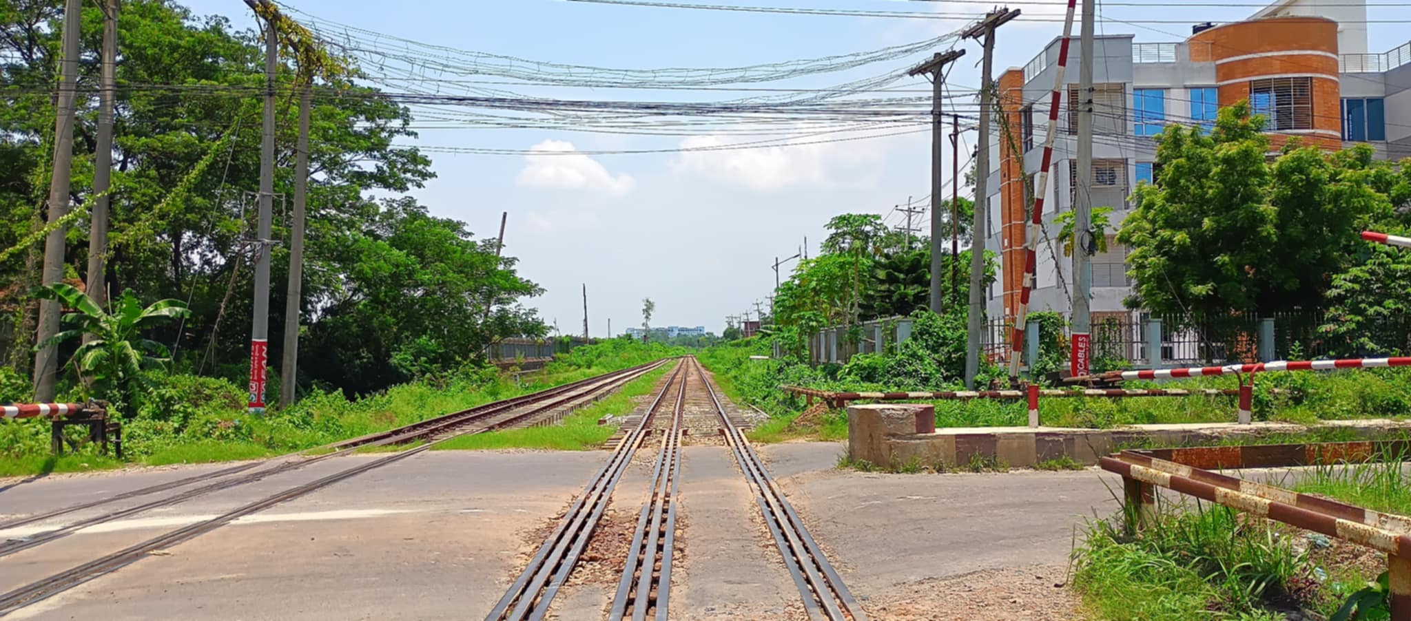 রেললাইনে ডিসের তার এখন মরণ ফাঁদ, গত ১৫ দিনে চলন্ত ট্রেনের ছাদ থেকে পড়ে আহত অর্ধশতাধিক