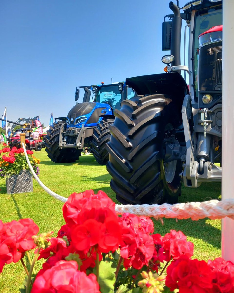 AppetiteMe tweet media