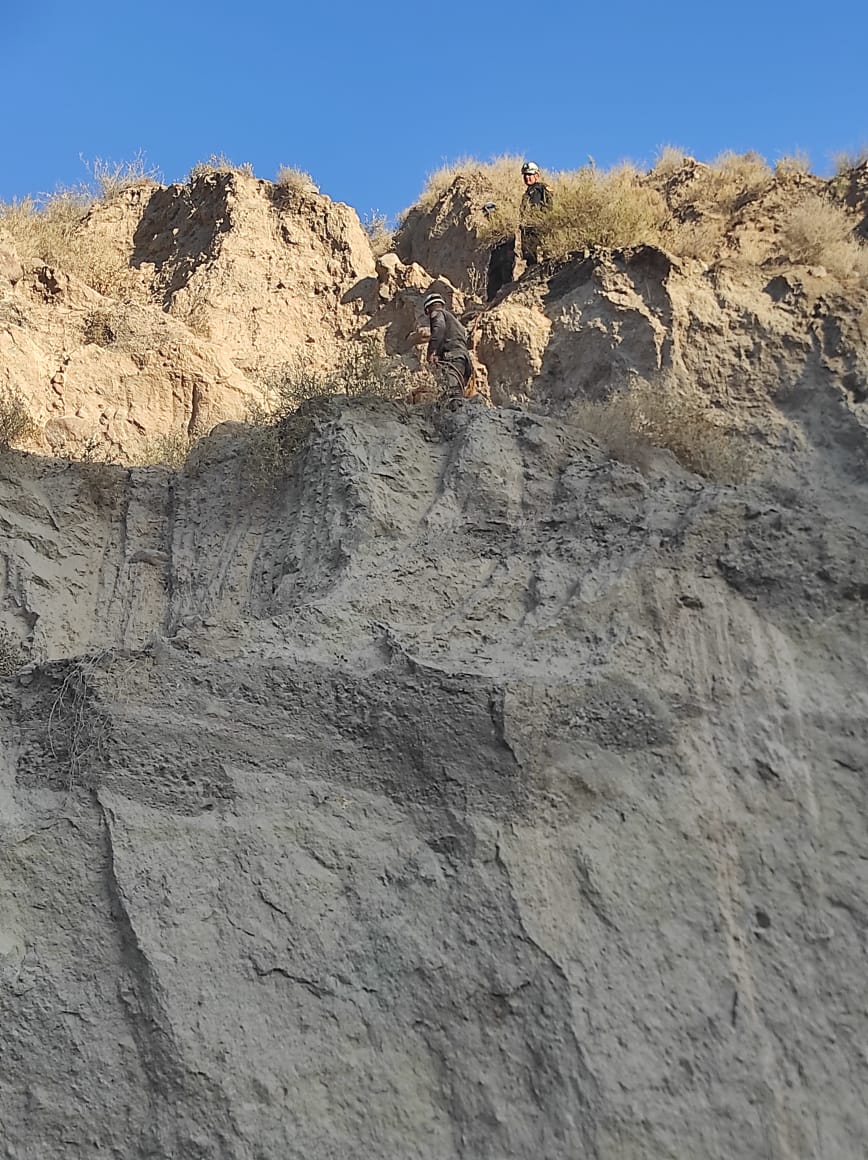 PoliciaPeru's tweet photo. #Arequipa 🐶📹| Un can que se encontraba atrapado en un acantilado de la cantera San Gerónimo ubicado en el distrito de Alto Selva Alegre fue rescatado tras un arduo trabajo por parte de los efectivos de la Unidad de Emergencia.
El perrito fue alimentado y puesto a buen recaudo. https://t.co/BmHUITHbYT