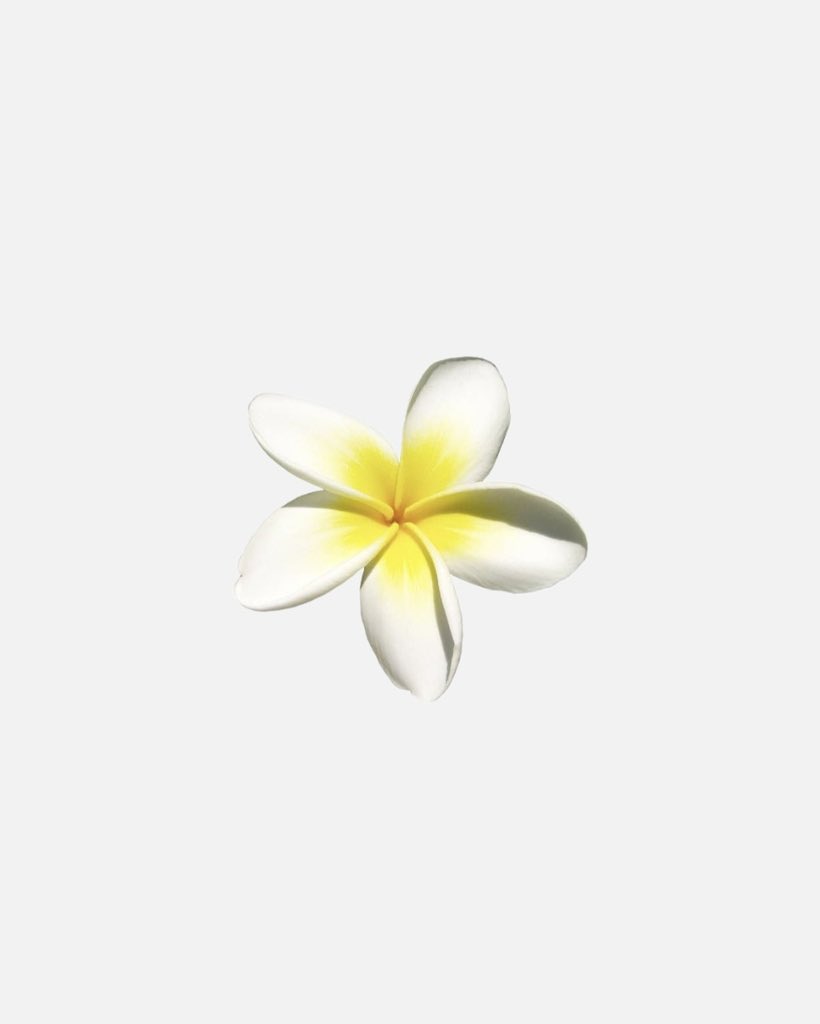 gal౨ৎ (@prtygal777) on Twitter photo 