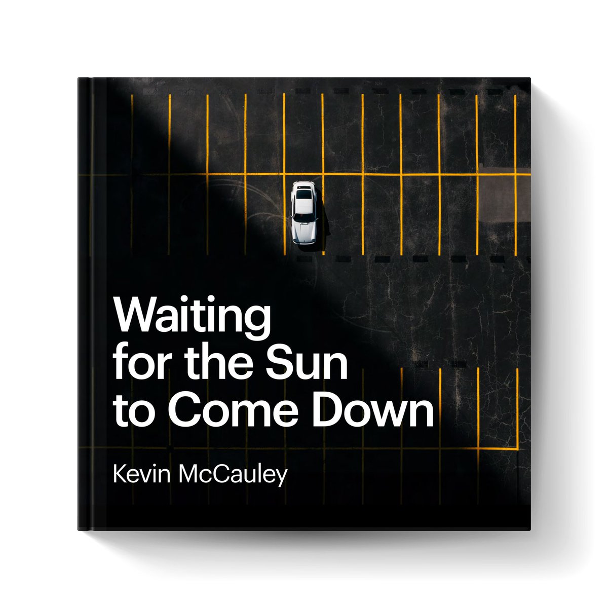 Carrara Media tweet media