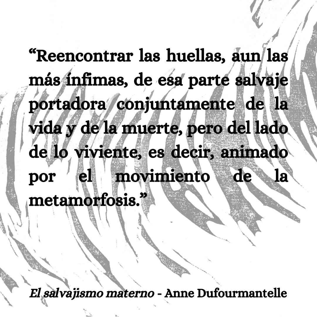 Nocturna Editora tweet media