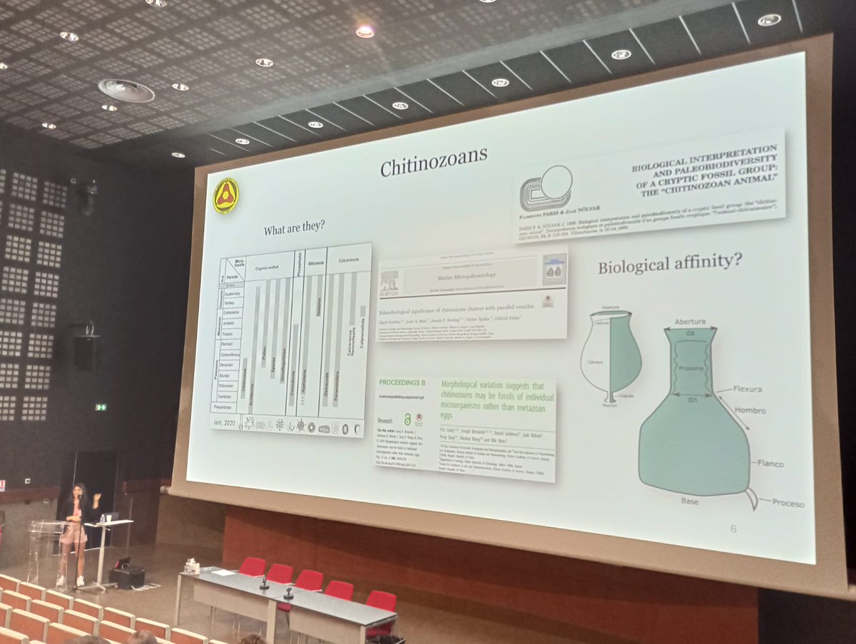 palino_ianigla's tweet photo. @SoniaCamina presenting her PhD chitinozoan results in Montpellier 🇫🇷 this morning.  Congrats!! @ianigla #AASPTPS2024 #palynology https://t.co/oh2wbck9WX