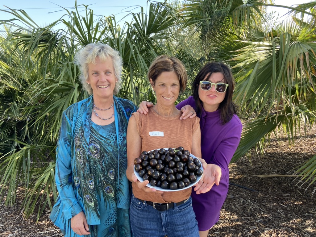 Prof Alison Van Eenennaam (@BioBeef) (@biobeef) on Twitter photo Hey <a href="/ucdavis/">UC Davis</a> <a href="/ucanr/">Ag&Natural Resources</a> folks in Davis - <a href="/BigPurpleTomato/">NorfolkPlantSciences</a> will be available TONIGHT!! at the Davis Farmers Market <a href="/DavisFarmMarket/">Davis Farmers Market</a> ! YUM Here is a picture from a tasting last year - they are delicious & my plants are growing like gangbusters in the garden and starting to set fruit🍅 Hey <a href="/ucdavis/">UC Davis</a> <a href="/ucanr/">Ag&Natural Resources</a> folks in Davis - <a href="/BigPurpleTomato/">NorfolkPlantSciences</a> will be available TONIGHT!! at the Davis Farmers Market <a href="/DavisFarmMarket/">Davis Farmers Market</a> ! YUM Here is a picture from a tasting last year - they are delicious & my plants are growing like gangbusters in the garden and starting to set fruit🍅