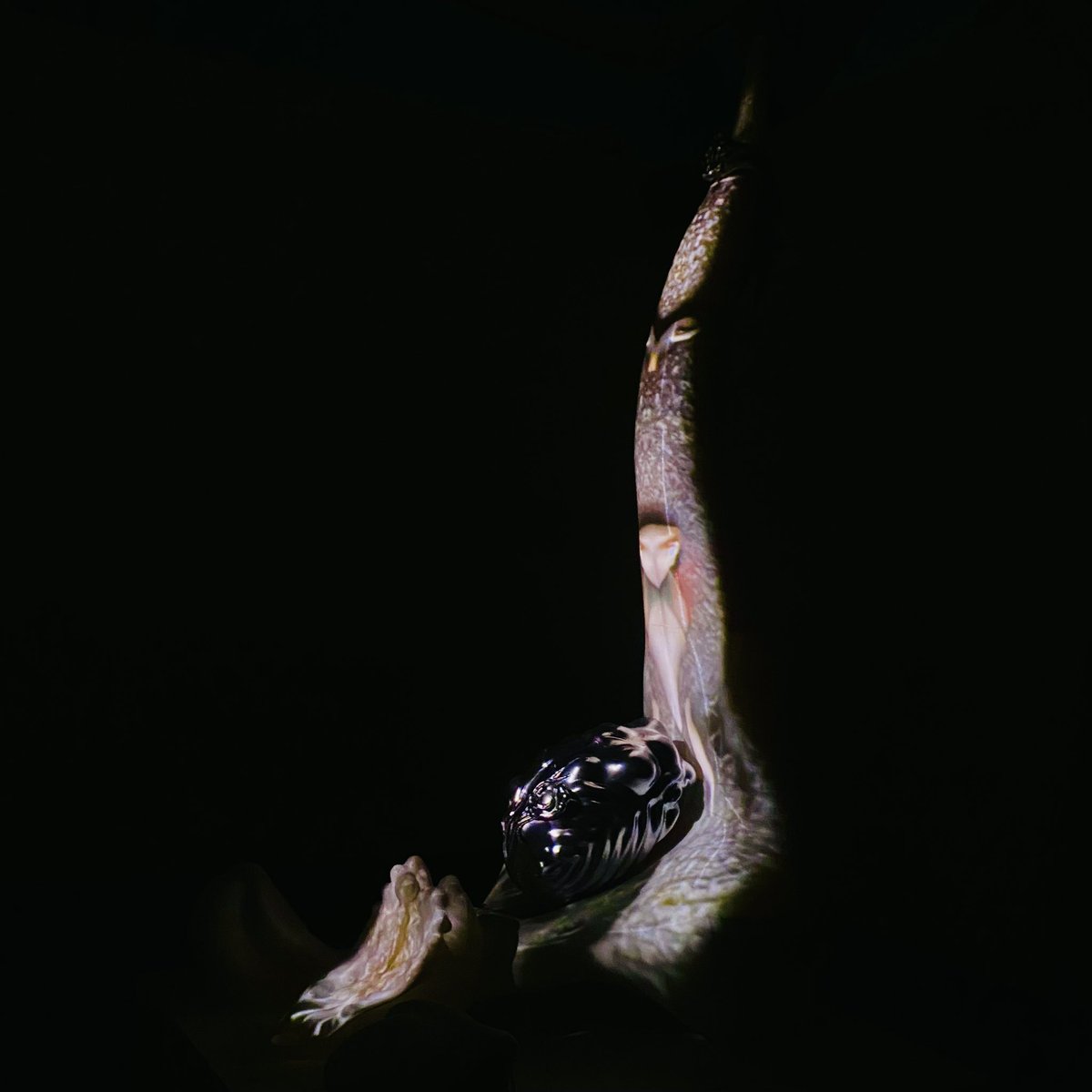 No, Riley, y espérate a intentar pronunciar los nombres de la piezas de MUXX: Trashumancia, como "Xtagabe'ñe".