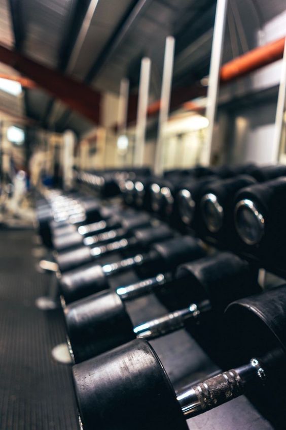 La primera vez que pisé a un gimnasio fue hace 17 años.

Te voy a dar mis mejores 22 consejos para construir músculo: