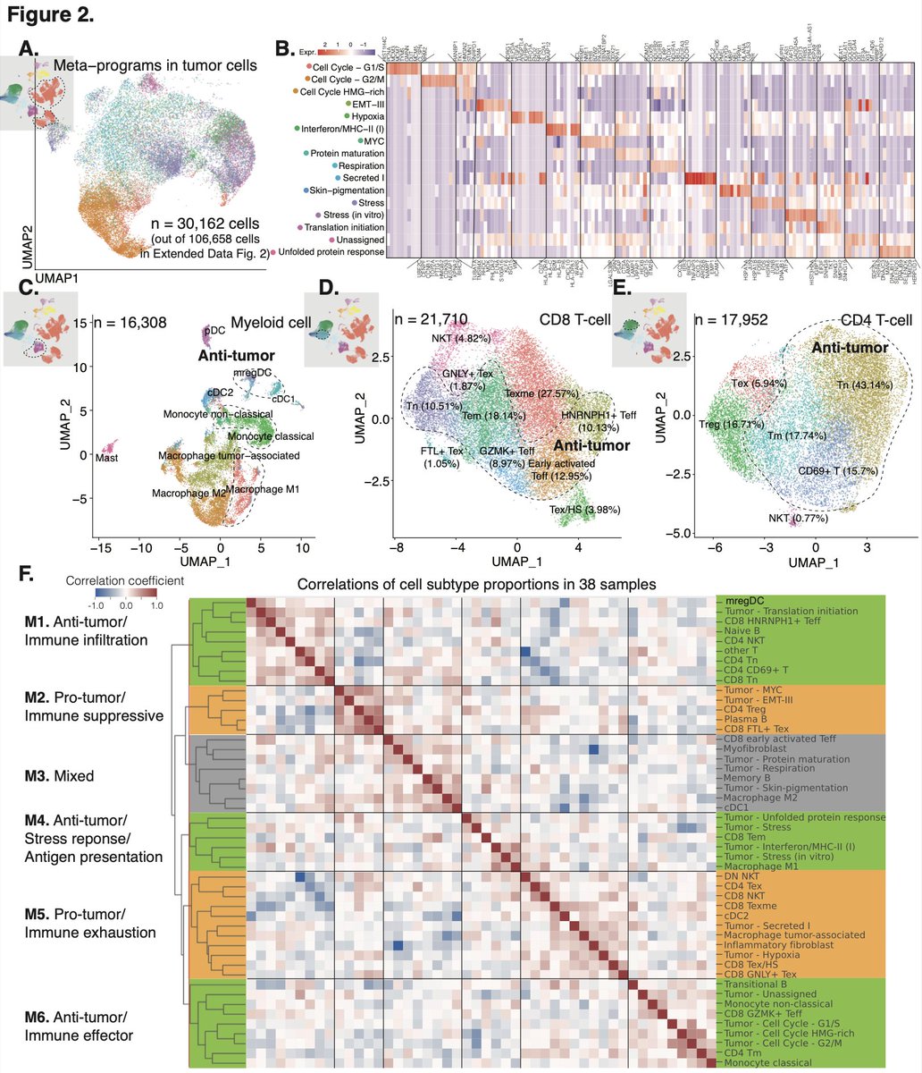 yangjiekun's tweet photo. Excited to share our latest preprint on BioRxiv! We reveal how mature dendritic cells boost immune infiltration and improve anti-PD-1 therapy response in metastatic melanoma. Explore our findings: https://t.co/0kmlcWp7q2 #ImmunoOncology #MelanomaResearch #SingleCellRNA https://t.co/b92wjZEEML