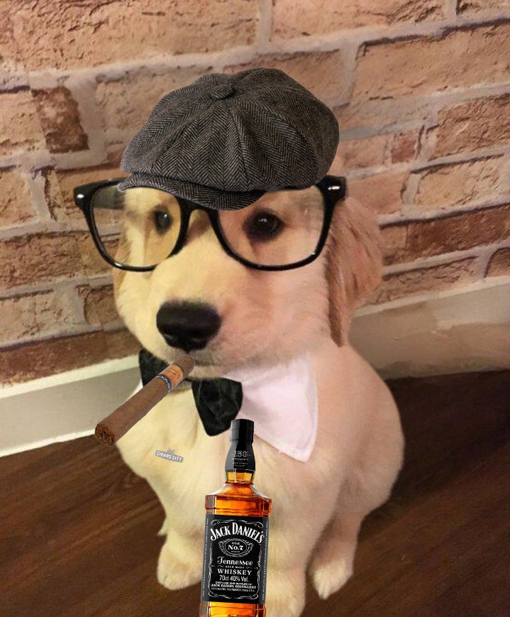 Boltonsolana's tweet photo. They know me and Jack Daniels  gotta history!  $BOLT https://t.co/YEfjjp04co