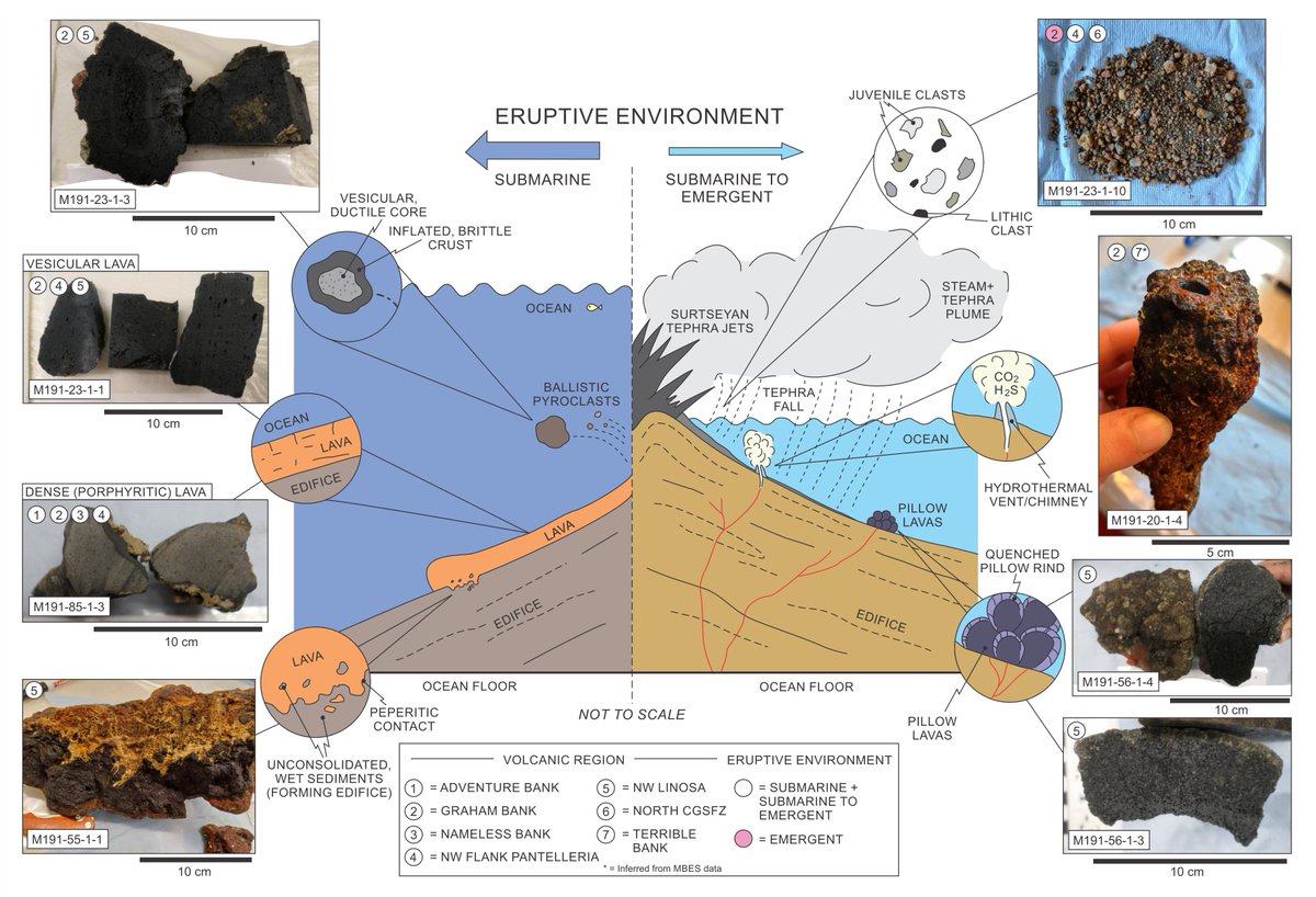 MagmaticAl's tweet photo. Our new paper published in #MarineGeology contains new geophysical data and rock samples collected during the #M191 research cruise in the #Sicilian #Channel. New #submarine #volcanoes were also discovered!🌋You read all about it here: 

https://t.co/3TNc3Un3Nr https://t.co/y2bjavQ6ho