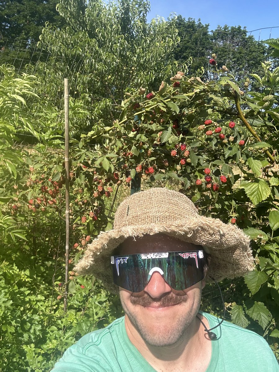 👊🦠 Homestead the Dev 🦠 tweet media