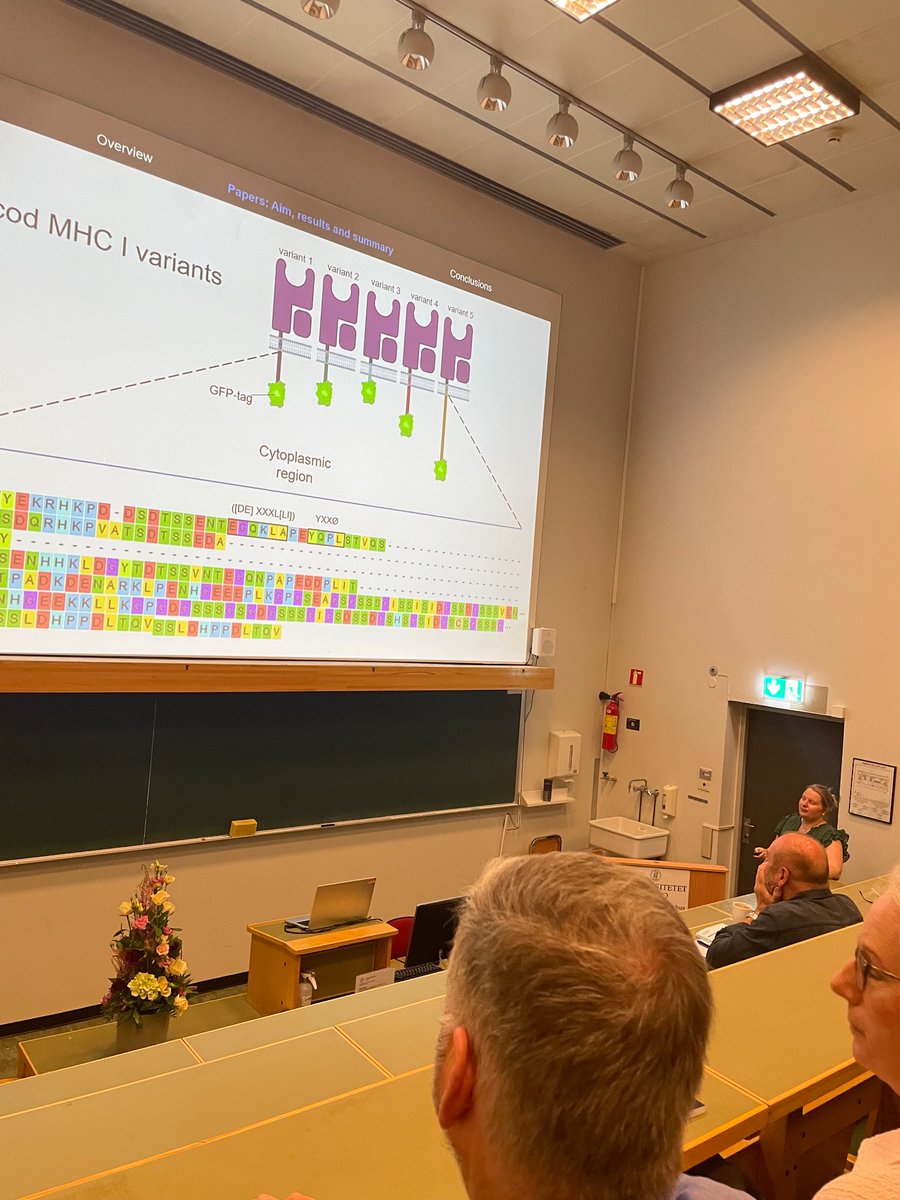 Sissel Jentoft tweet media