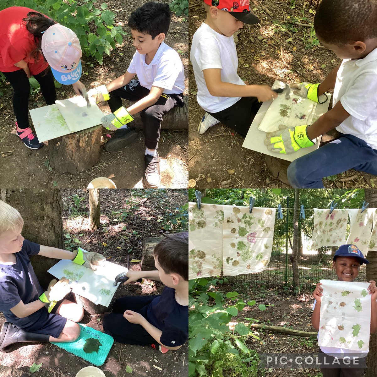 OWPS_forestschool (@owps_forest) on Twitter photo A very sunny Hapa Zome session today, fortunately we have lots of shade in the woods. The children showed great teamwork as they created their own pieces by hammering the leaves and petals into fabric. #owpsforestschool <a href="/OWPSchool/">Orton Wistow Primary</a> <a href="/OWPSturtles/">OWPSturtles</a> <a href="/OWPS_chameleons/">OWPS_chameleons</a> A very sunny Hapa Zome session today, fortunately we have lots of shade in the woods. The children showed great teamwork as they created their own pieces by hammering the leaves and petals into fabric. #owpsforestschool <a href="/OWPSchool/">Orton Wistow Primary</a> <a href="/OWPSturtles/">OWPSturtles</a> <a href="/OWPS_chameleons/">OWPS_chameleons</a>