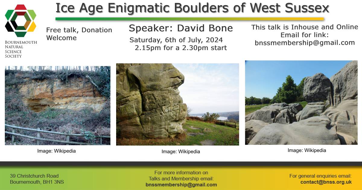 Bournemouth Natural Science Society & Museum (@bnss1) on Twitter photo 