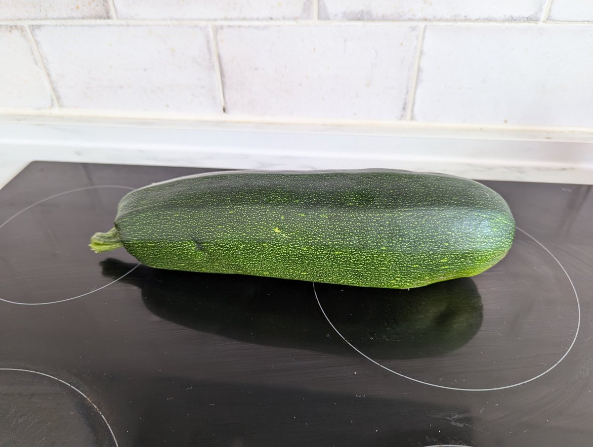 Ex Polytunnelhermit 🌿 tweet media