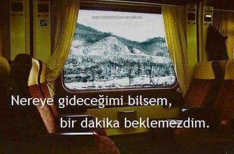 🐬Erdal Sarıçam🐬 (@saricamerdal) on Twitter photo 