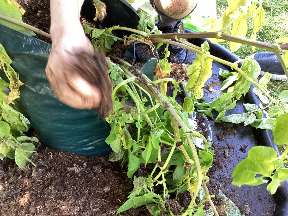 Mrs Parnell tweet media