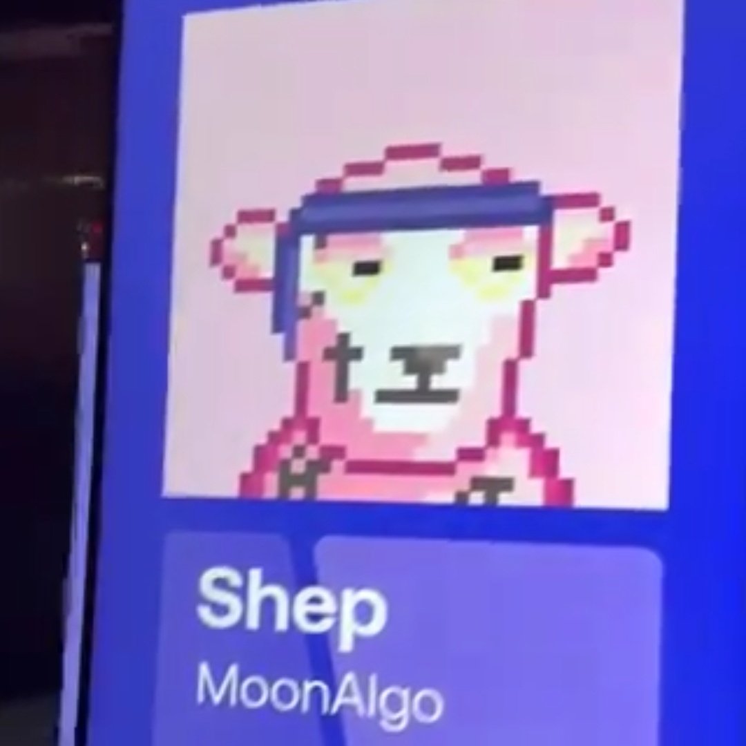 ShepNFTs's tweet image. Looks like Shep made it to Barcelona! #Decipher2024