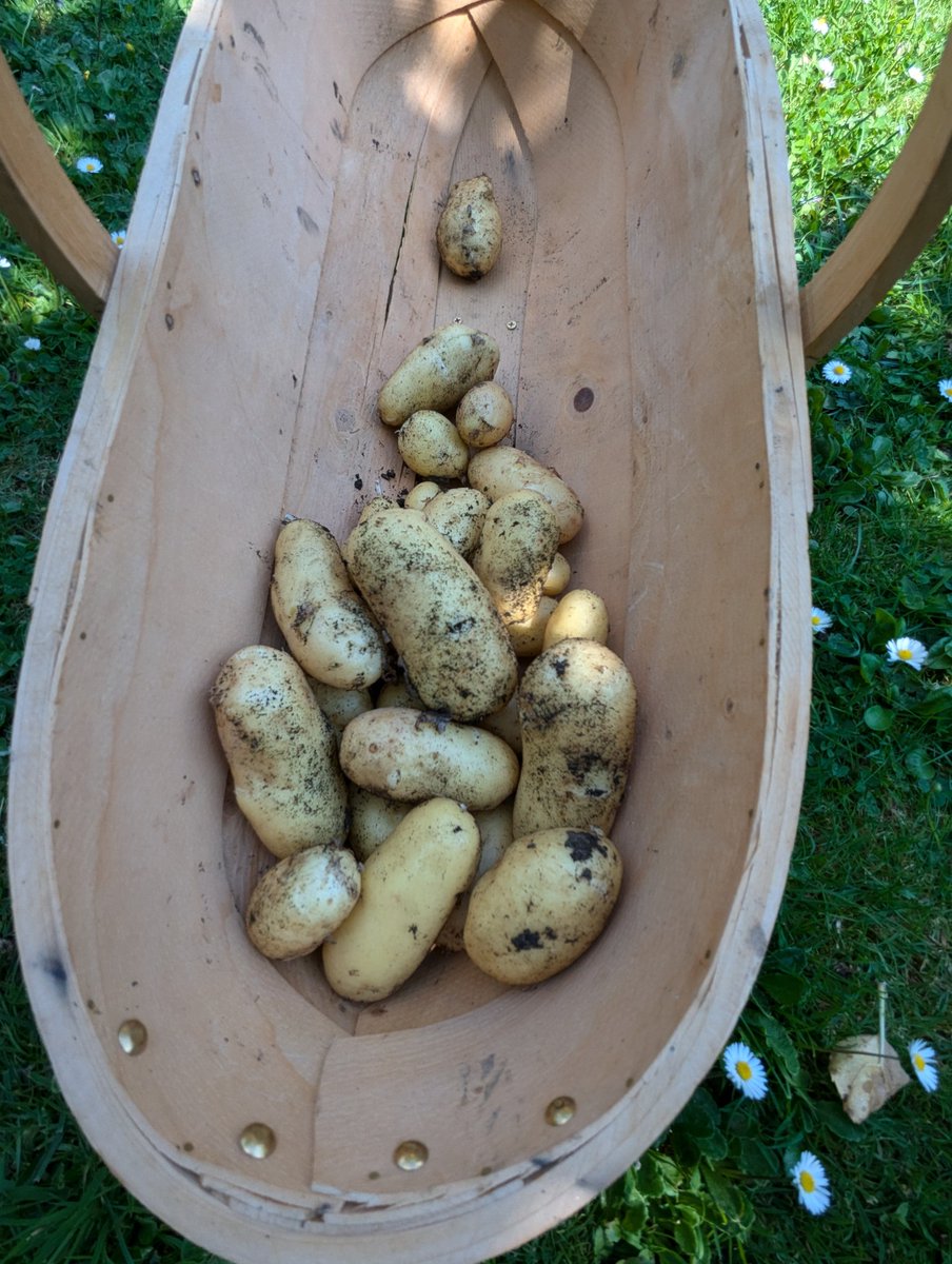 Ex Polytunnelhermit 🌿 tweet media