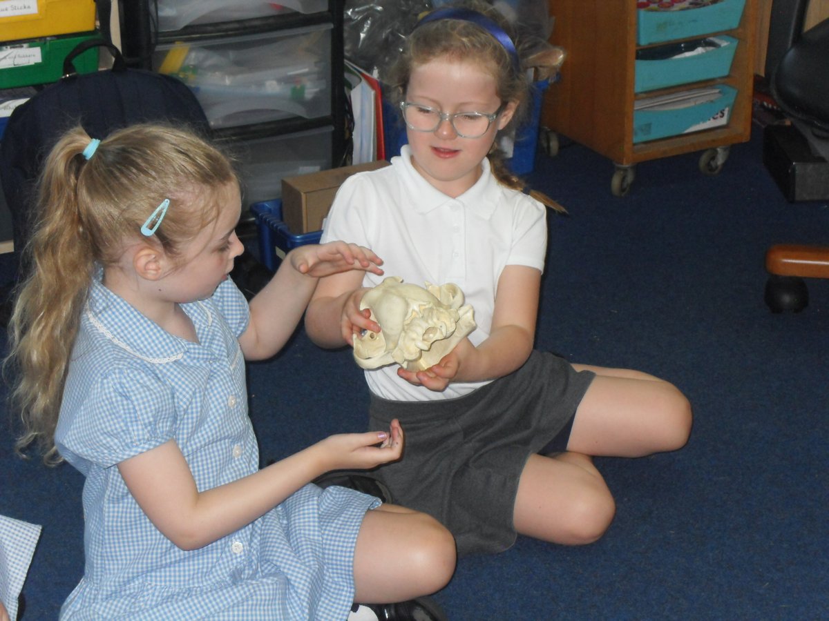 NewburghHalton tweet media