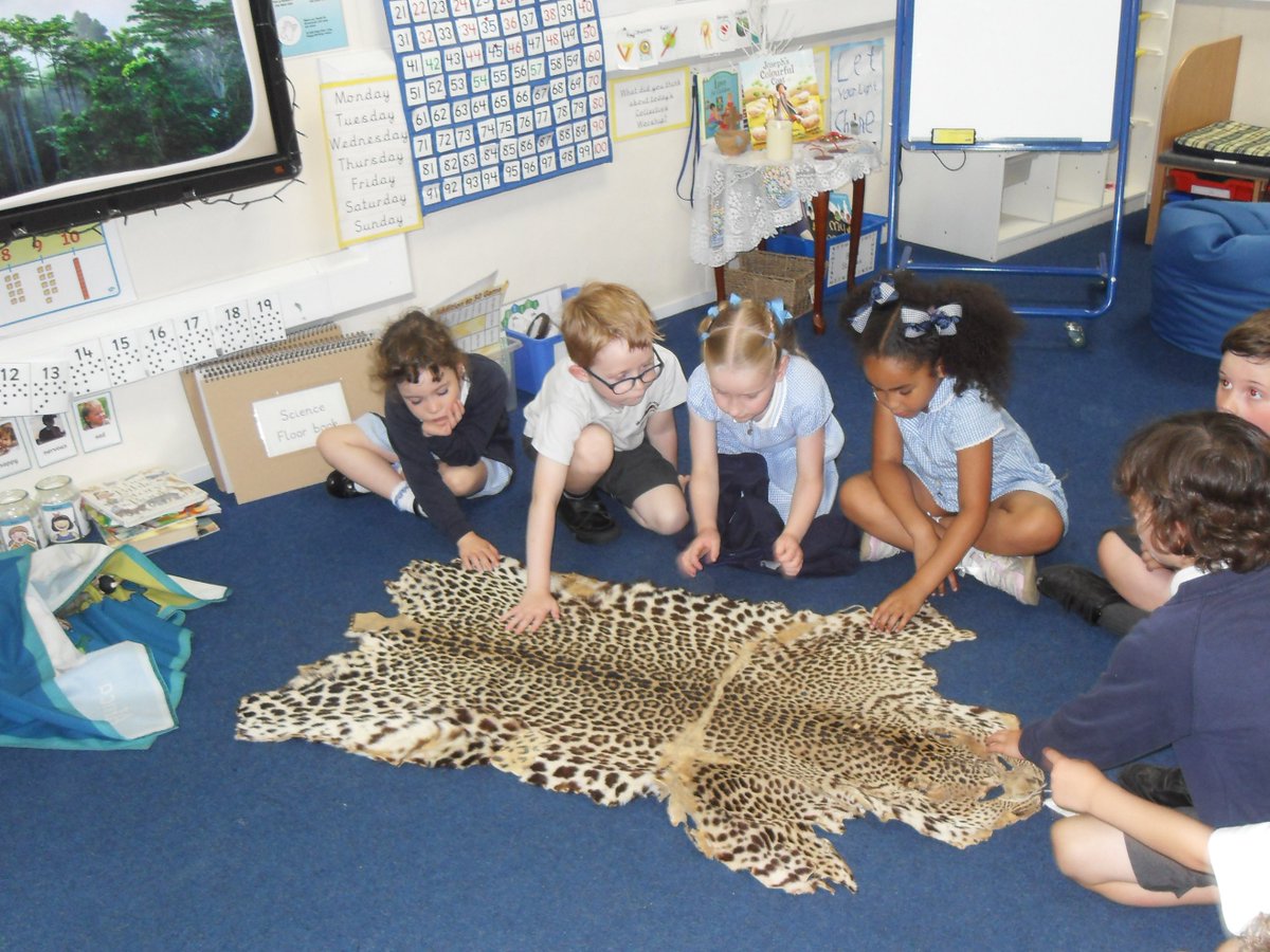 NewburghHalton tweet media