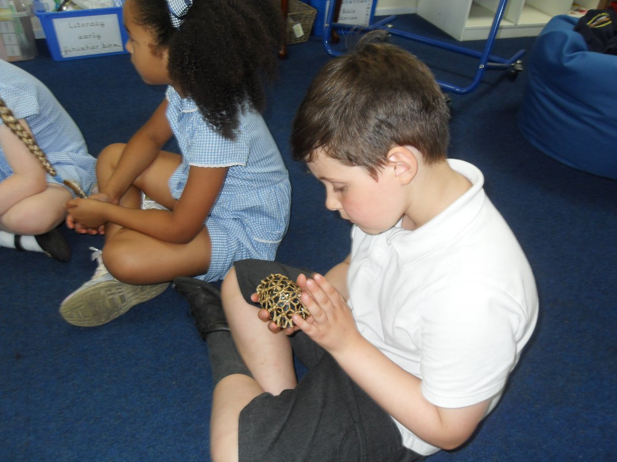 NewburghHalton tweet media