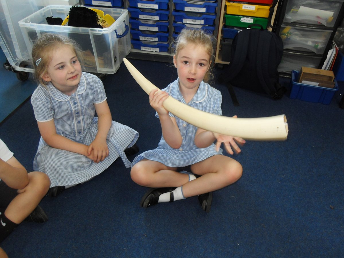 NewburghHalton tweet media