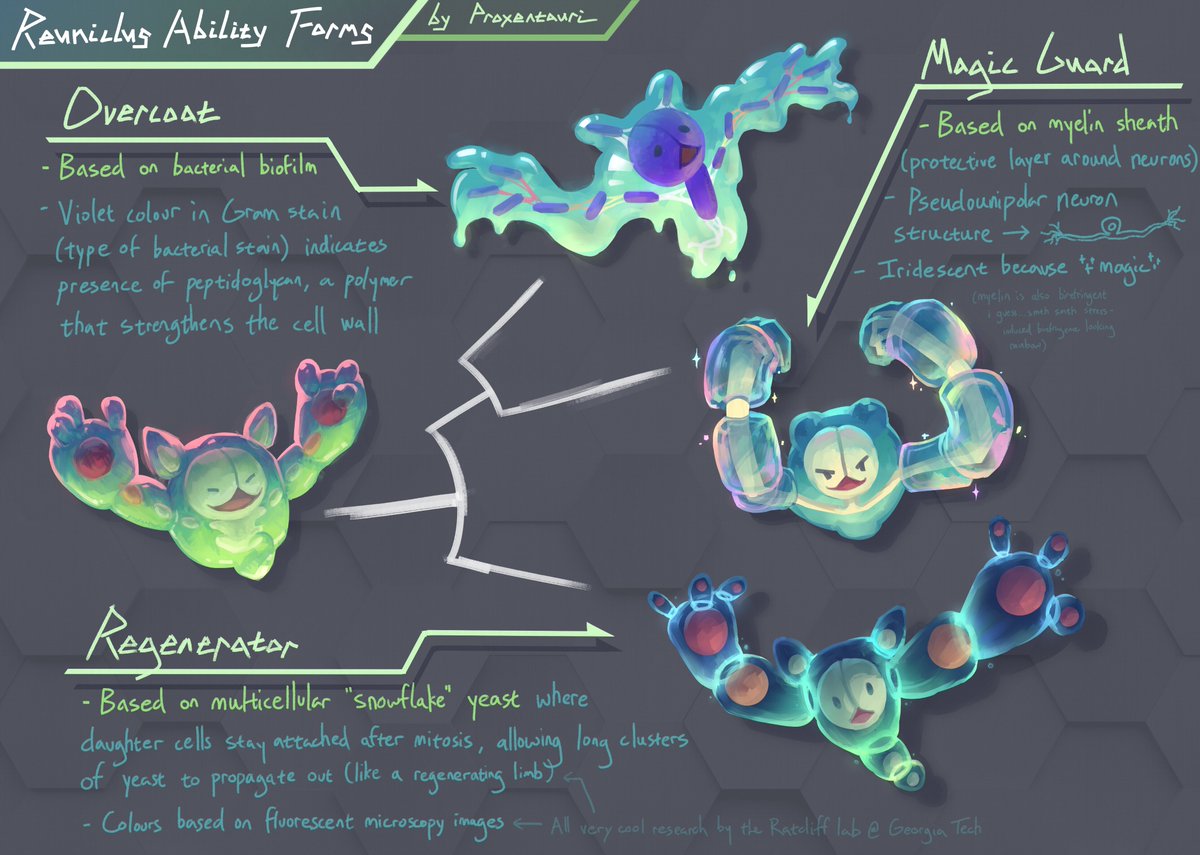 it's #pokemon #abilityforms time😎

please read the essay i wrote about my newly designed children:
tumblr.com/proxentauri/75…

somehow featuring cool research by <a href="/wc_ratcliff/">Will Ratcliff</a> , who i will hesitantly tag in case he is a pokémon fan!