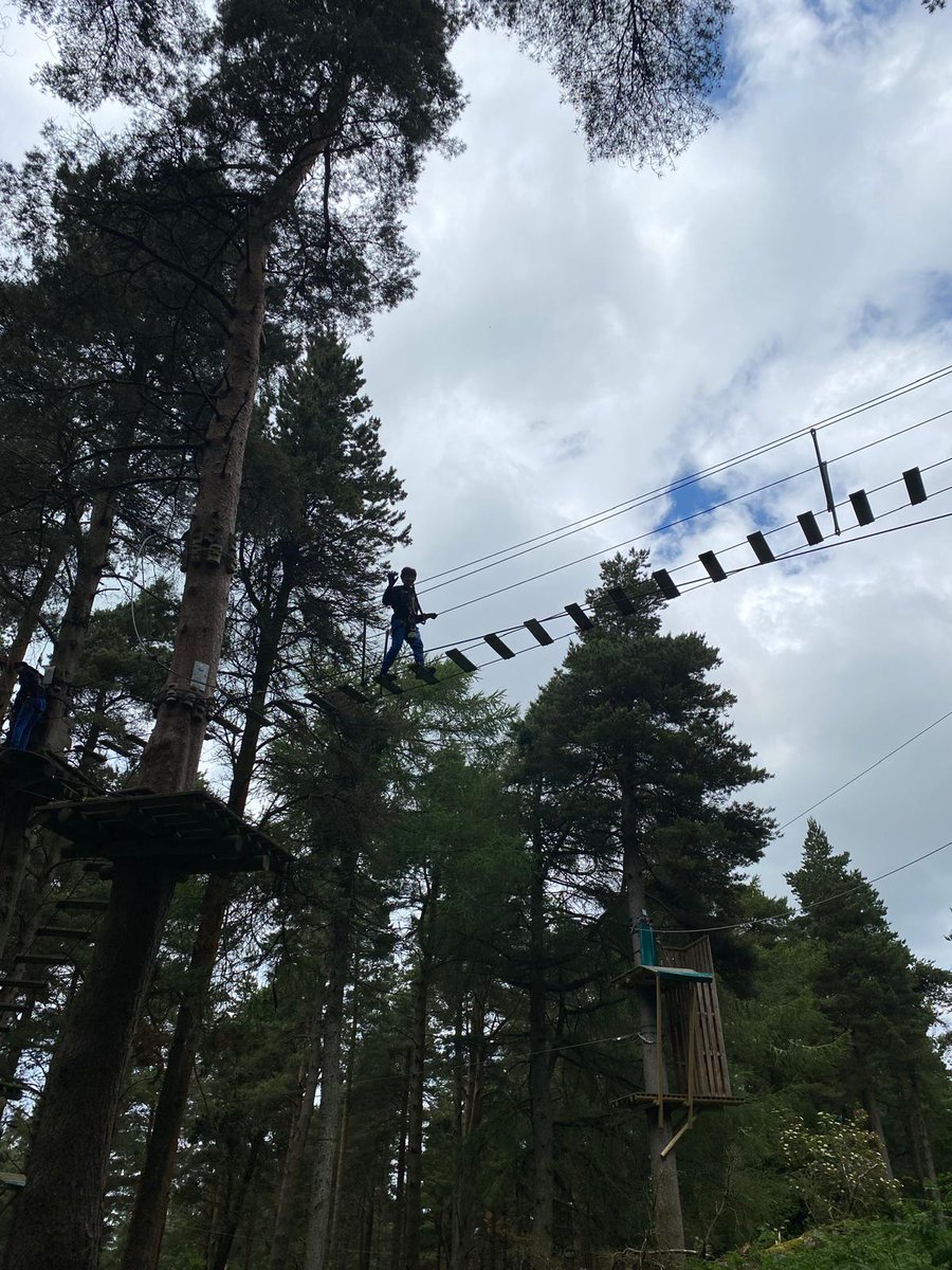 NDMNS's tweet photo. Few more snaps of our trip through the trees https://t.co/j0lUA199IR