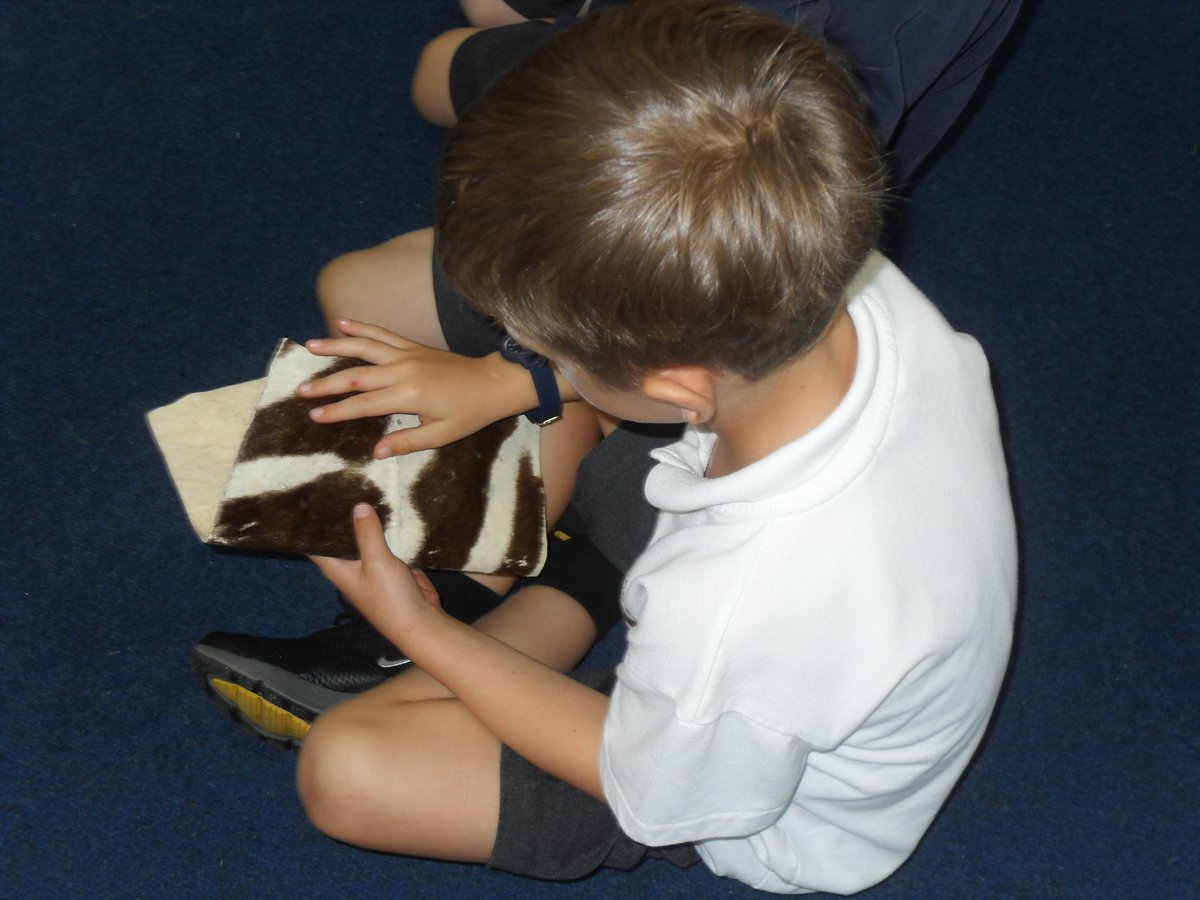 NewburghHalton tweet media