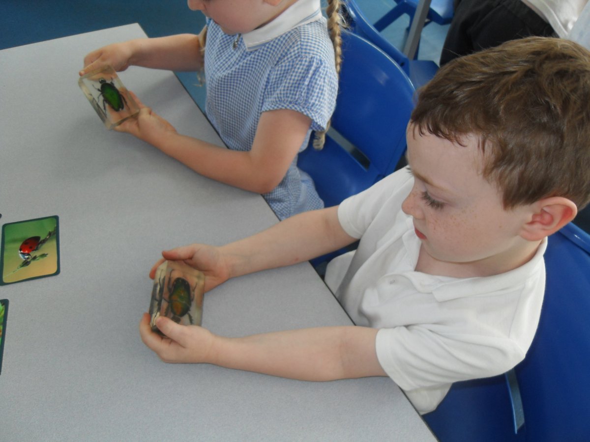 NewburghHalton tweet media