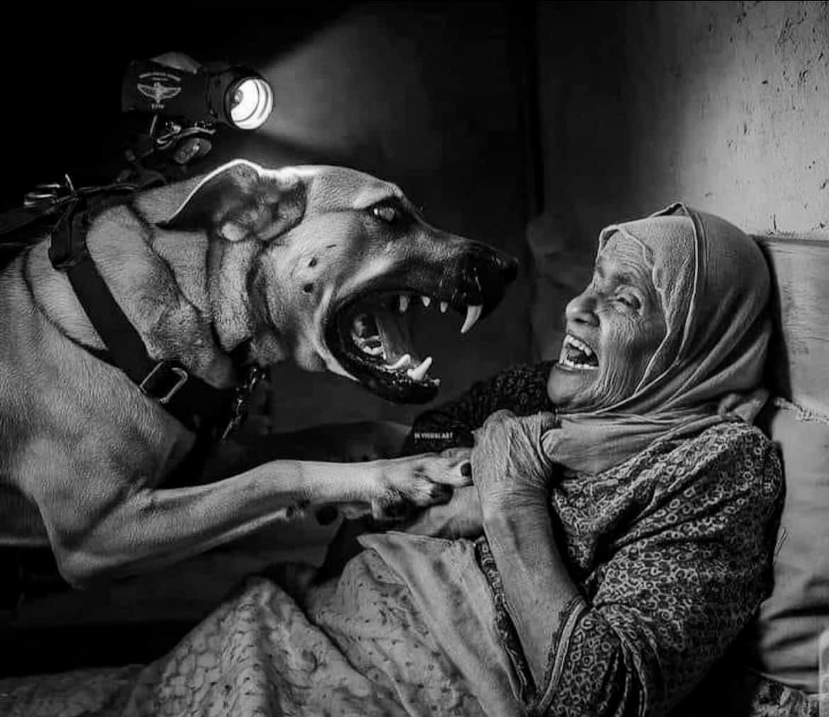 Ein schockierendes Video aus Gaza macht derzeit weltweit die Runde. Es zeigt Soldaten der israelischen Terrorarmee (IS), die einen Kampfhund auf eine palästinensische Frau hetzen. Die Rentnerin überlebte knapp und erlitt schwere Verletzungen‼️ #FreePalestine #Israel_crimes