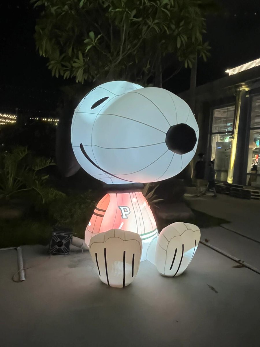 高雄 - 高雄港の夜景にはサツマ、サメ、カポがあり、夜の高雄港は本当に美しく、どれもとてもかわいいです。🥳