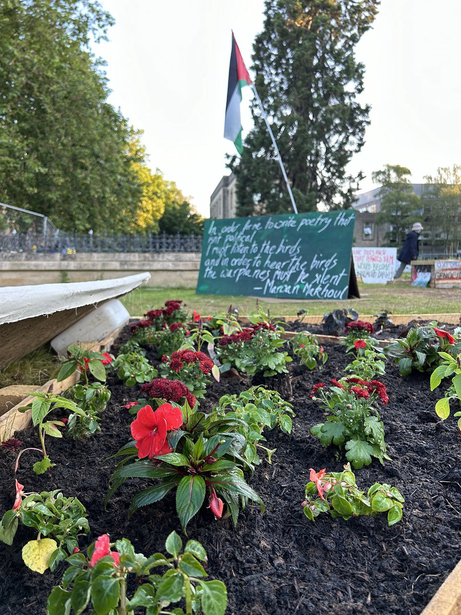 OxAct4Pal's tweet photo. Images and videos of the Gaza Memorial Garden before it was destroyed and bulldozed by the University. We worked tirelessly overnight to finalise the garden, planting seeds in the dark. It was thoughtfully created as a living archive of our first Gaza Solidarity Encampment. https://t.co/b4oKIM8ilt