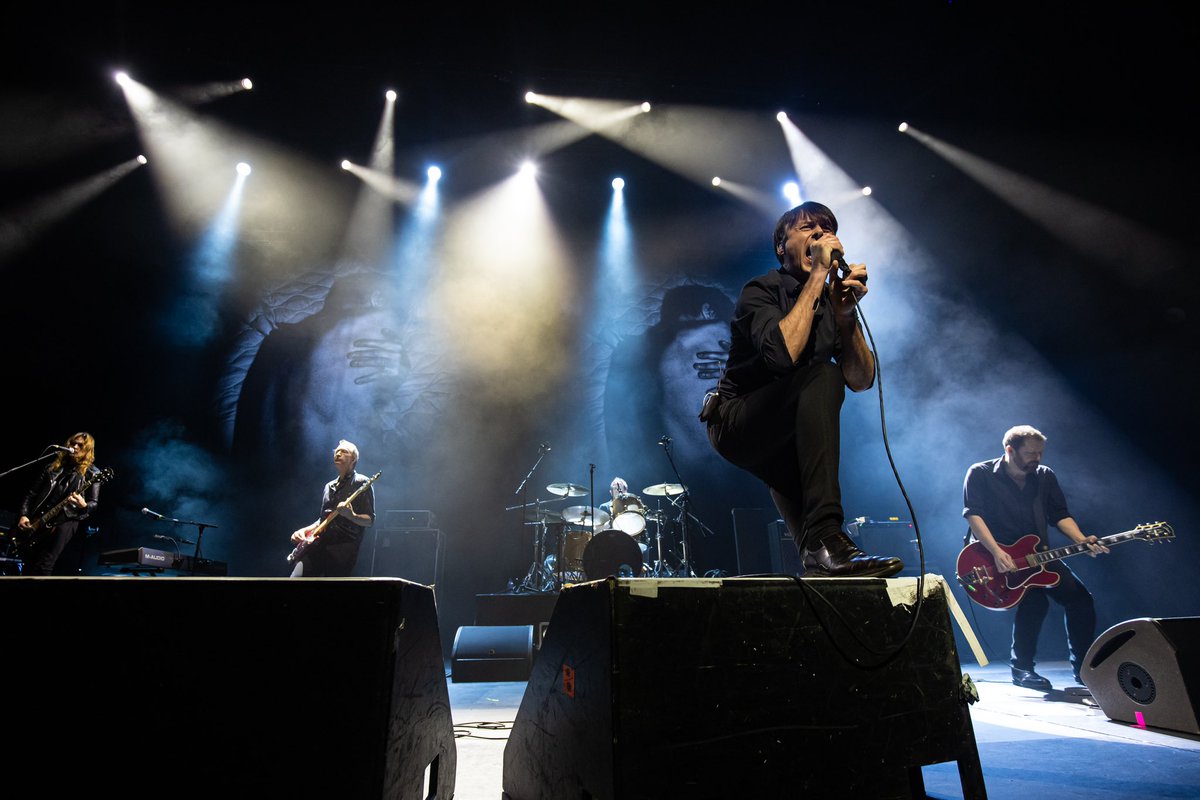 Suede HQ tweet media