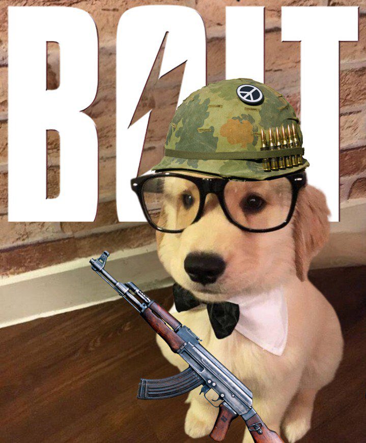 Boltonsolana's tweet photo. There’s a War on $BOLT https://t.co/qLil4mLCAw