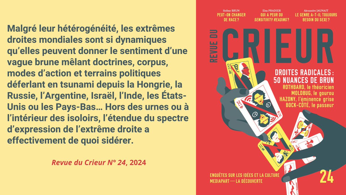 Revue du Crieur N° 24, "Cinquante nuances de brun et un désir de transgression", <a href="/JoConfa/">Joseph Confavreux</a> et <a href="/ellensalvi/">Ellen Salvi</a>, 2024