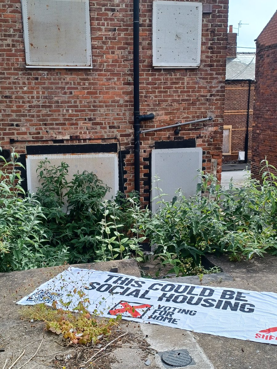 ShelterNE's tweet photo. Today we took our #VotingForHome banner to Horden in Co-Durham. There are nearly 160 empty houses in East Durham all of which could be transformed into safe and affordable homes for those in need🏡
See where we'll be tomorrow!
@JoanneHowey @grahamemorris @stephenashfield https://t.co/LeDZ3XLUUw