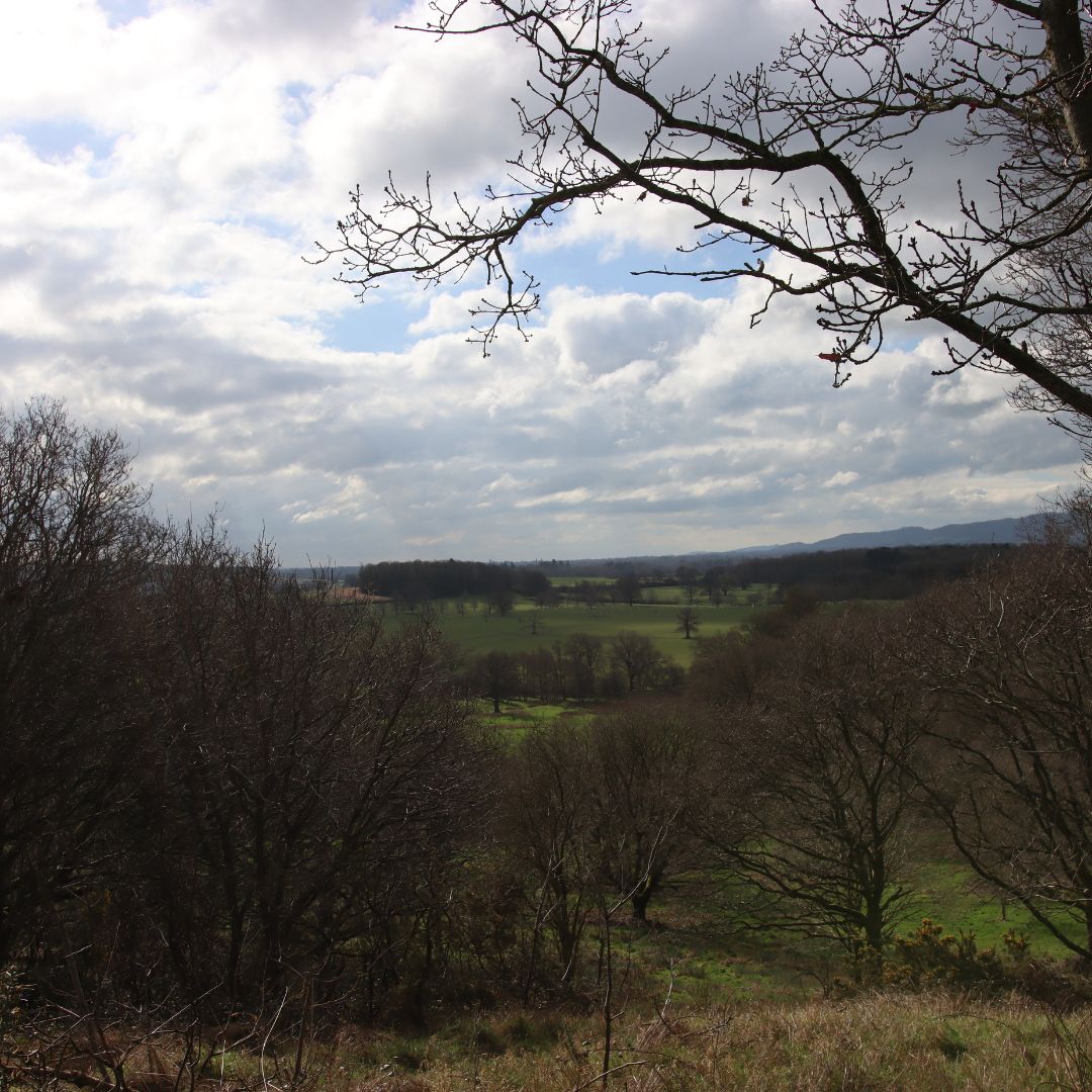🌿 Some beautiful shots from a recent walk in the Worcestershire countryside #LetsGoWCRP
Walking is a great way to improve your health and wellbeing. Visit wcrp.org.uk/rail-trails  to discover our Rail Trail walking routes. #RailTrails #Walkingroutes #Worceste #Wellbeing #Nature